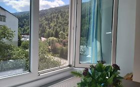 Apartment Valea Azugii
