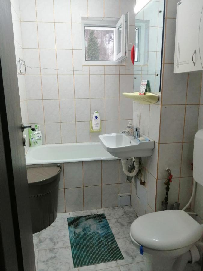 Apartment Valea Azugii Azuga Exterior foto